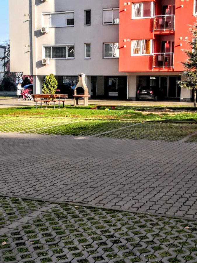 Relaxing & Welcome Apartment, Ared, Uta Arad Zewnętrze zdjęcie